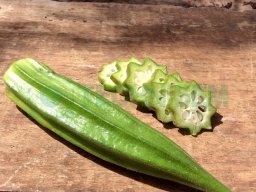 Legumes fruits &raquo; Gombo